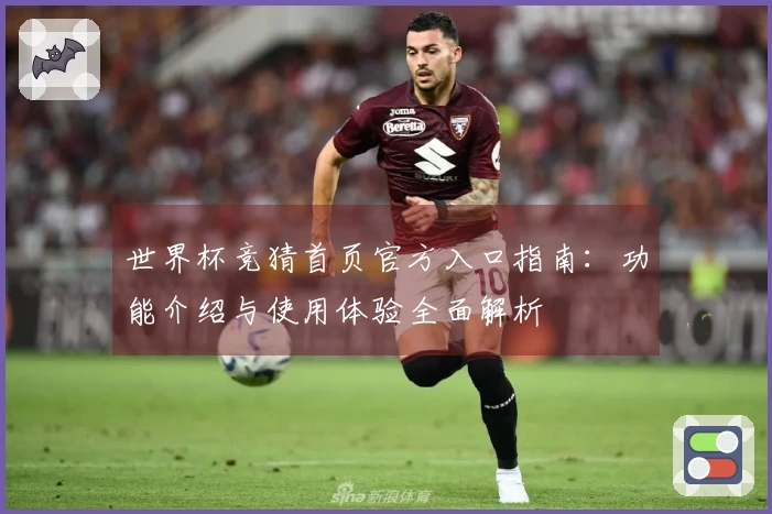 世界杯竞猜首页官方入口指南：功能介绍与使用体验全面解析