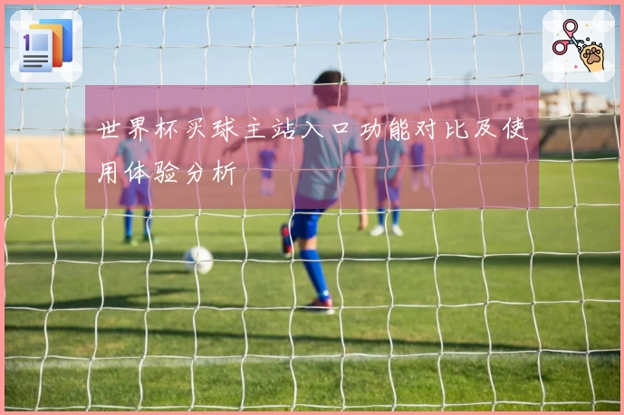 世界杯买球主站入口功能对比及使用体验分析