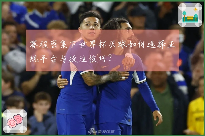 赛程密集下世界杯买球如何选择正规平台与投注技巧？