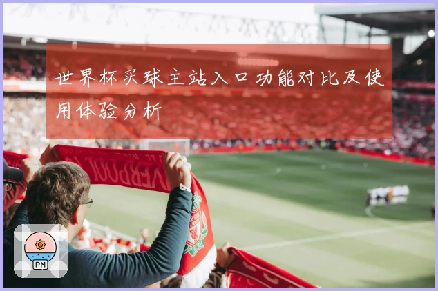 世界杯买球主站入口功能对比及使用体验分析
