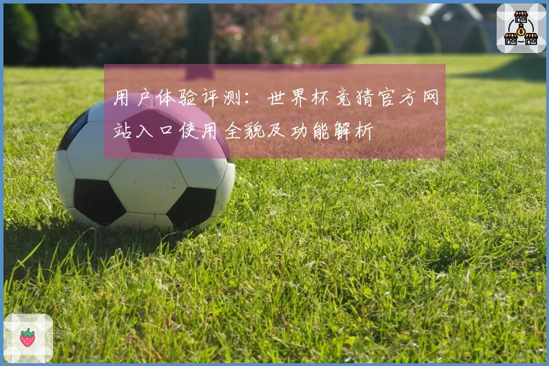 用户体验评测：世界杯竞猜官方网站入口使用全貌及功能解析