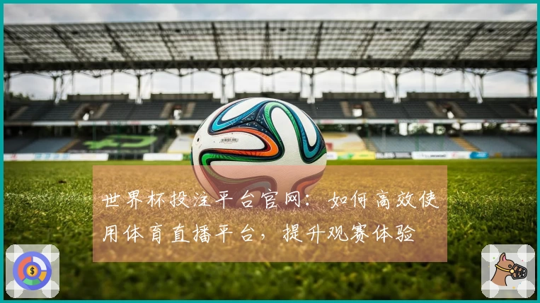 世界杯投注平台官网：如何高效使用体育直播平台，提升观赛体验