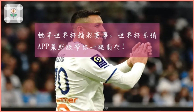 畅享世界杯精彩赛事，世界杯竞猜APP最新版带你一路前行！