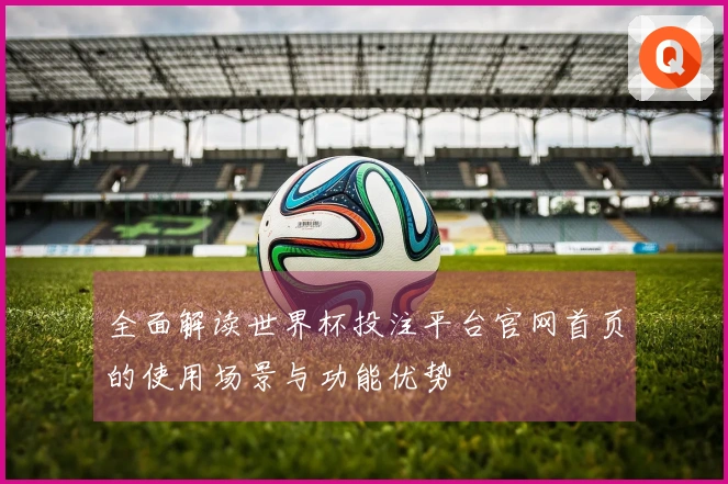 全面解读世界杯投注平台官网首页的使用场景与功能优势