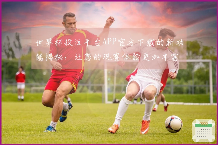 世界杯投注平台APP官方下载的新功能揭秘，让您的观赛体验更加丰富多彩