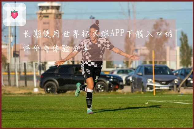 长期使用世界杯买球APP下载入口的评价与体验分享