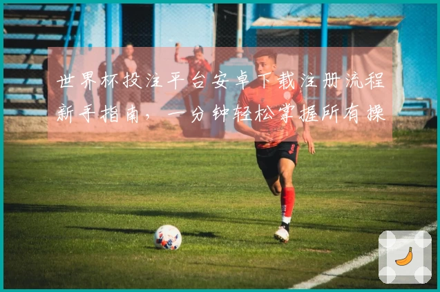 世界杯投注平台安卓下载注册流程新手指南，一分钟轻松掌握所有操作