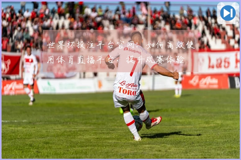 世界杯投注平台官网：如何高效使用体育直播平台，提升观赛体验