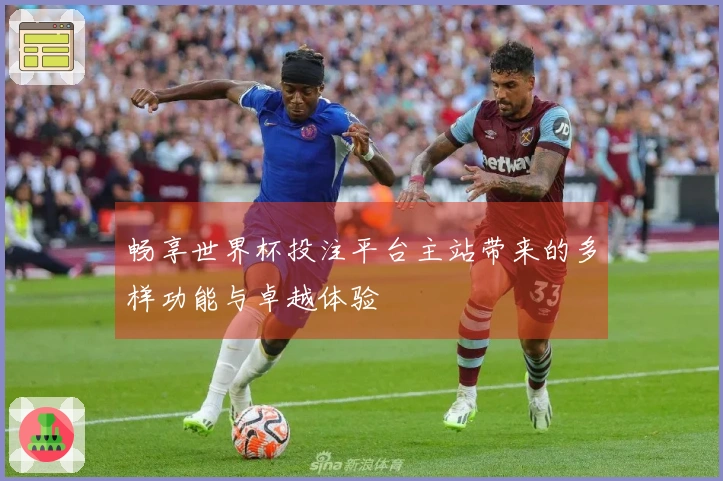 畅享世界杯投注平台主站带来的多样功能与卓越体验