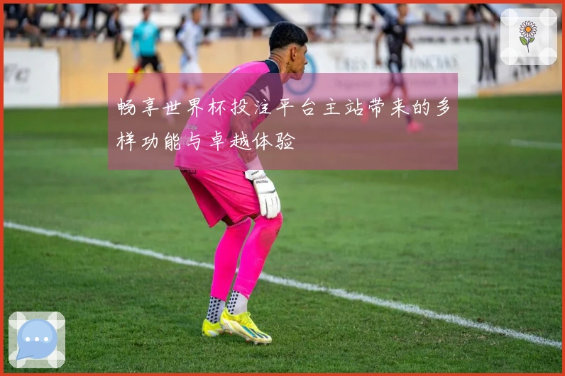 畅享世界杯投注平台主站带来的多样功能与卓越体验