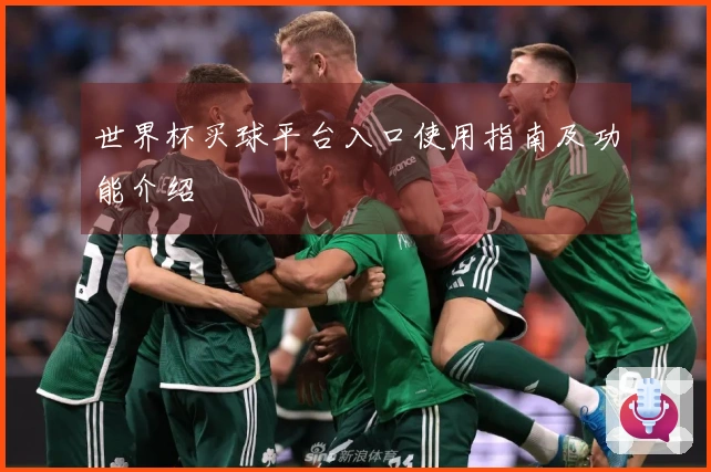 世界杯买球平台入口使用指南及功能介绍